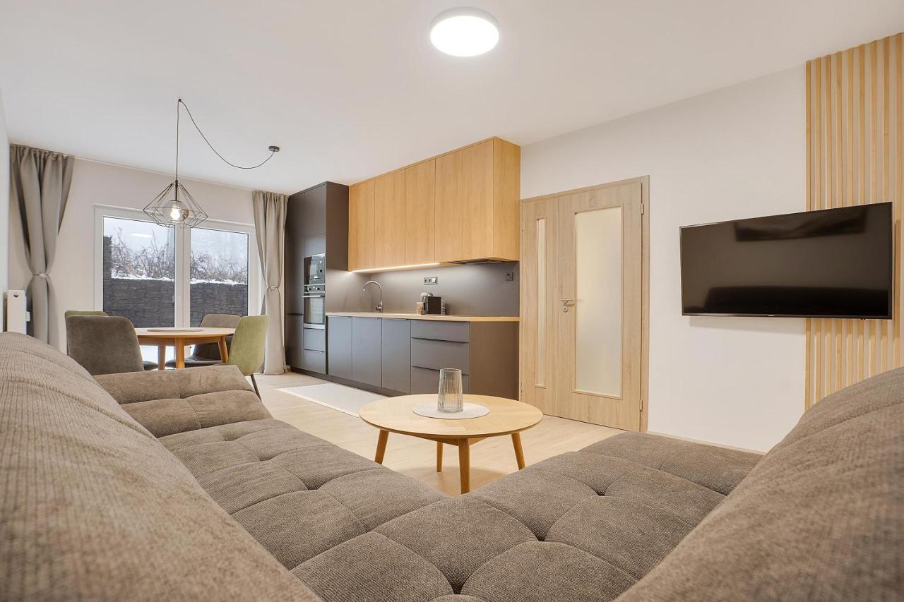 Krusnohorske Strane Apartment Loučná pod Klínovcem Bagian luar foto