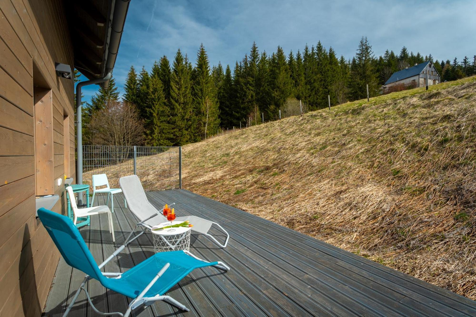 Krusnohorske Strane Apartment Loučná pod Klínovcem Bagian luar foto